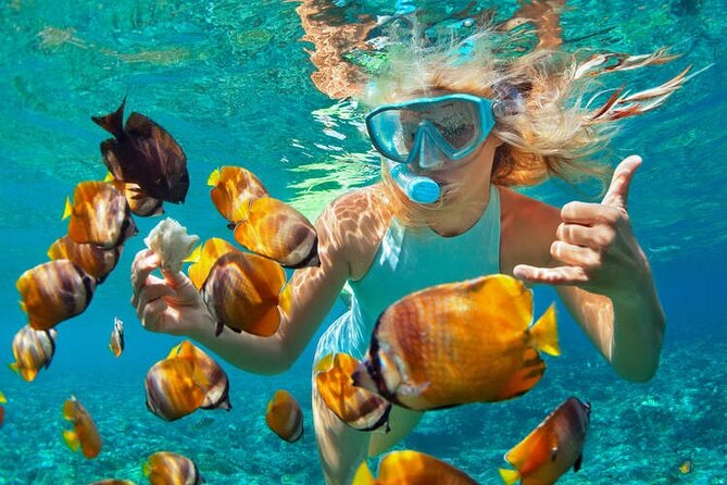 1 Hour Private Snorkeling Activity In Montego Bay - Key Highlights You’ll Actually Notice