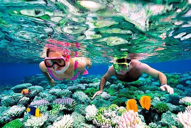 1 Hour Private Snorkeling Activity In Montego Bay - From Your Resort to the Snorkeling Area, Without the Long Wait
