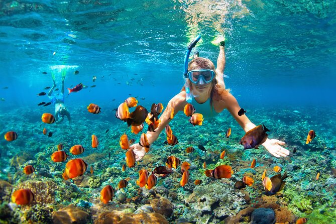 1 Hour Private Snorkeling Activity In Montego Bay - Snorkeling in Montego Bay: Corals, Reef Fish, and a Shared Water Zone