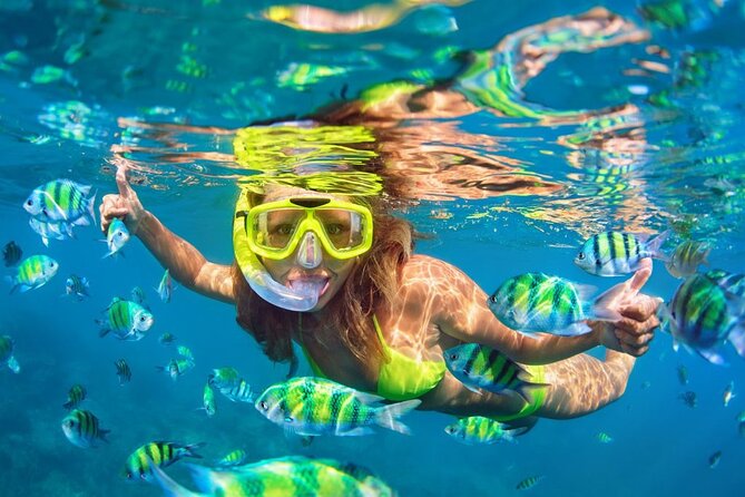 1 Hour Private Snorkeling Activity In Montego Bay - The Reef Ride: Short Boat Time, More Snorkel Time