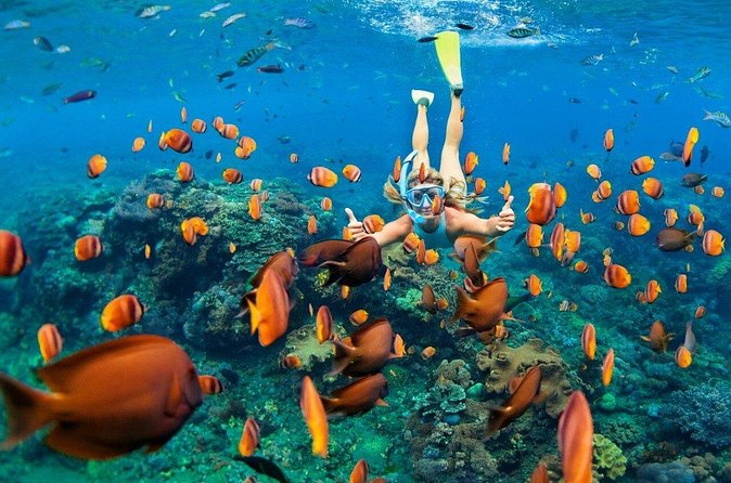 1 Hour Private Snorkeling Activity In Montego Bay - Photo and Video Tips That Fit This Exact Trip