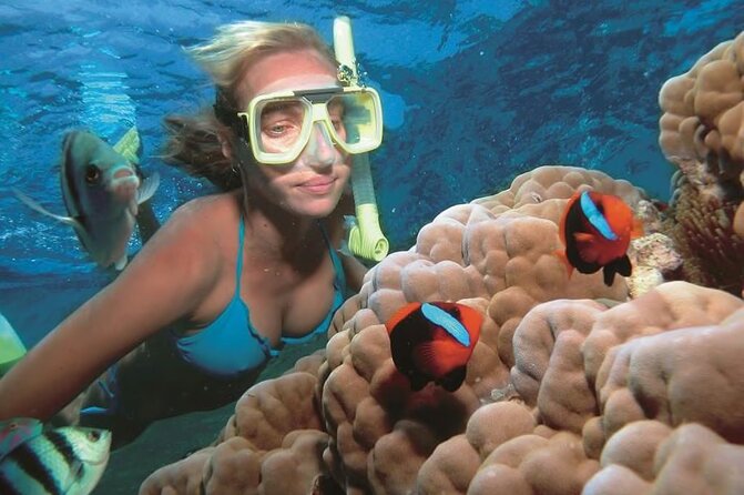 1 Hour Private Snorkeling Activity In Montego Bay - What’s Included, What’s Not, and How to Plan Your Day
