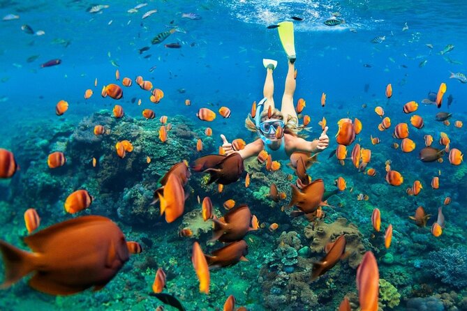1 Hour Private Snorkeling Activity In Montego Bay - Price and Value: Is $110 for One Hour a Smart Deal?