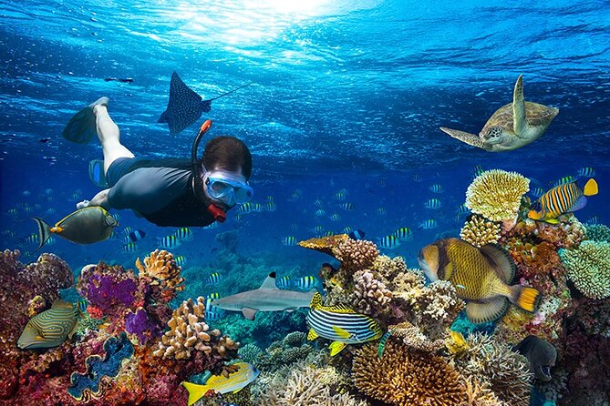 1 Hour Private Snorkeling Activity In Montego Bay - Getting Fitted, Getting Briefed, Then Getting Calm in the Water