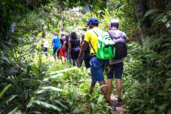 4-Hours Bike, Hike & Waterfall Tour in Blue Mountain with Lunch and Pick Up - Key highlights to look for