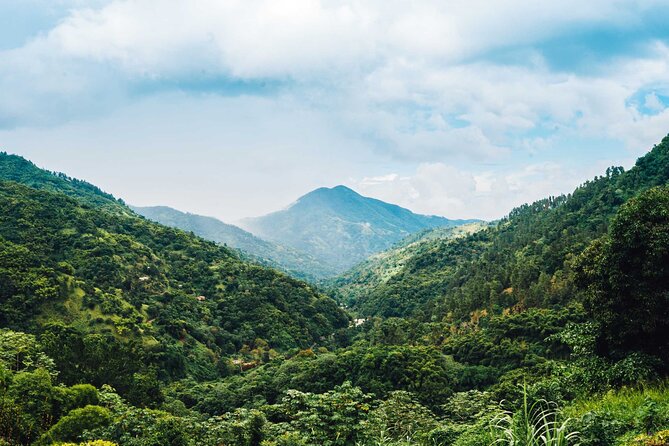 4-Hours Bike, Hike & Waterfall Tour in Blue Mountain with Lunch and Pick Up - The Secluded Waterfall Finish