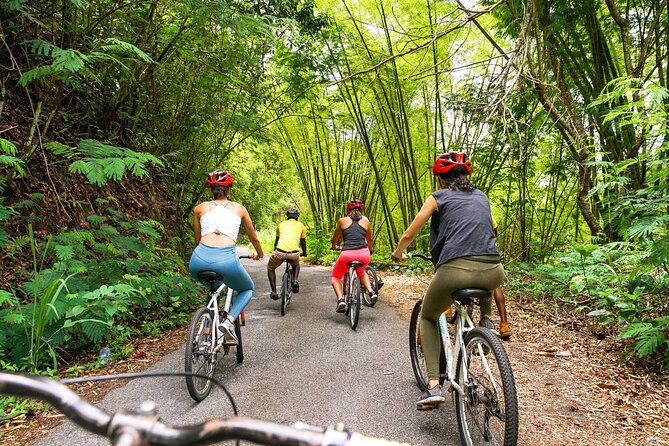 4-Hours Bike, Hike & Waterfall Tour in Blue Mountain with Lunch and Pick Up - Price and Value from Montego Bay
