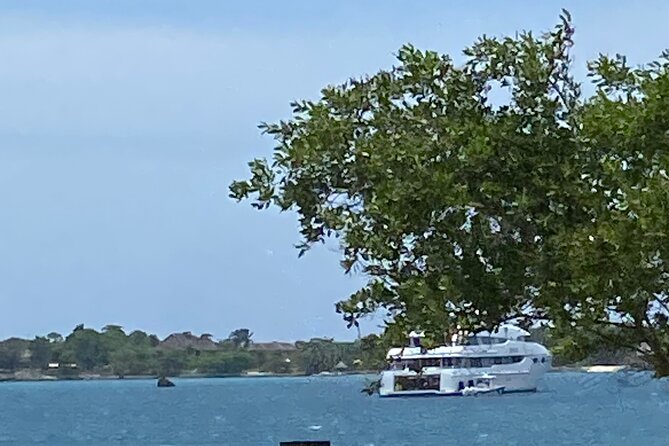 4 Hours Party Boat Catamaran Cruise in Negril - 7 Mile Beach vibes, not a ticket to the beach checklist