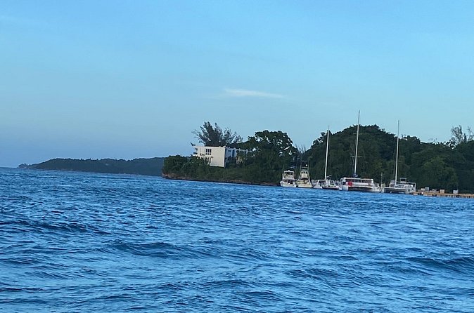 4 Hours Party Boat Catamaran Cruise in Negril - Rick’s Cafe at the end: scene first, cliff jumps if you want