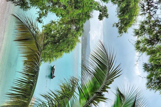 A "Private" Airport Transfer to Grand Palladium Resort - From Sangster to Grand Palladium, the Real Goal