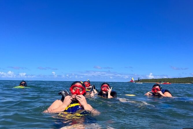 Adventurous-Snorkeling With Sightseeing of Montego Bay - The boat ride: reef areas and sea creatures up close