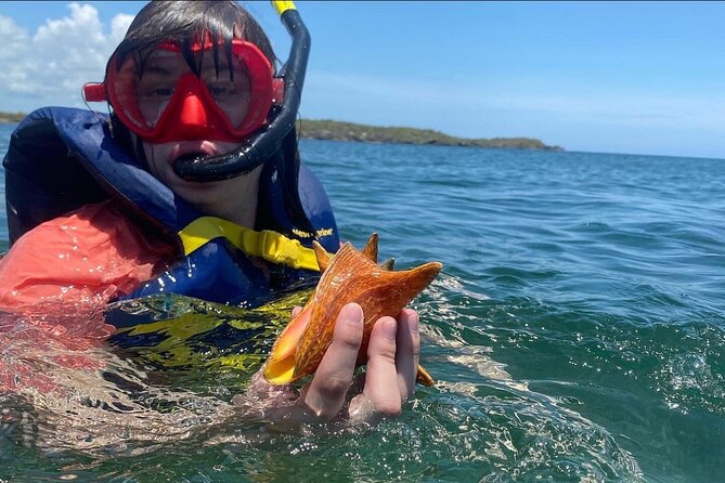 Adventurous-Snorkeling With Sightseeing of Montego Bay - Back on land: dry off, souvenirs, and Montego Bay inner-city views