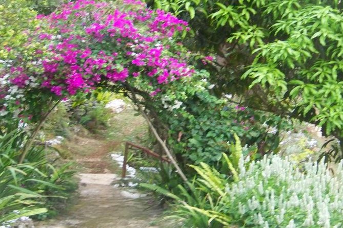 Ahhh Ras Natango Gallery and Garden Private Transfer - What the $97.44 Price Includes, and Why It Can Be Good Value