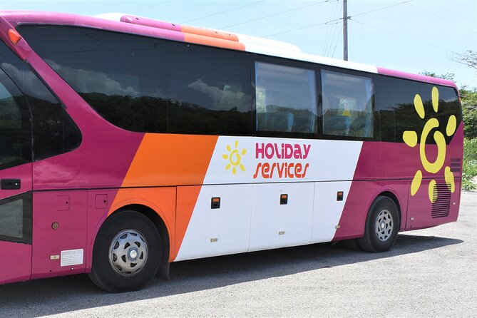 Airport Shuttle from Montego Bay (MBJ) to Hotel - Drivers and Service Style: Omar, Kevin, and Andrew Myers