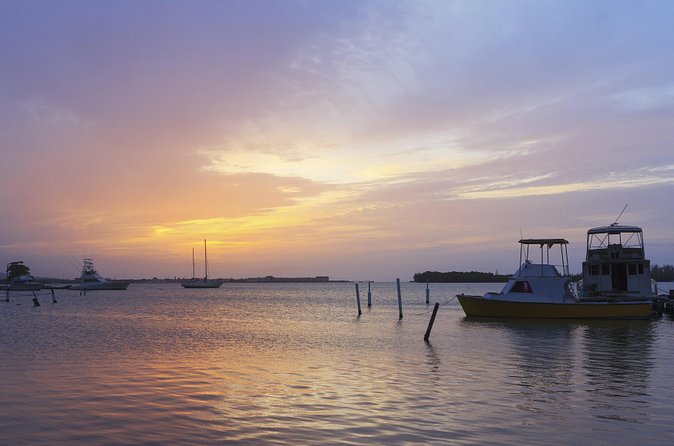 An Evening on the Lagoon: Martha Rafting, Luminous Lagoon and Falmouth Highlight - Falmouth highlights: old town energy without rushing yourself to exhaustion