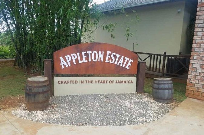 Appleton Estate Rum Private Tour - What it feels like at the estate, plus the practical side