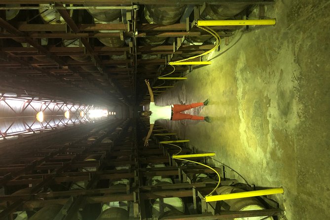 Appleton Estate Rum Tour - Your 8:00 am Start: Why This Timing Works for a Full 6 Hour Day