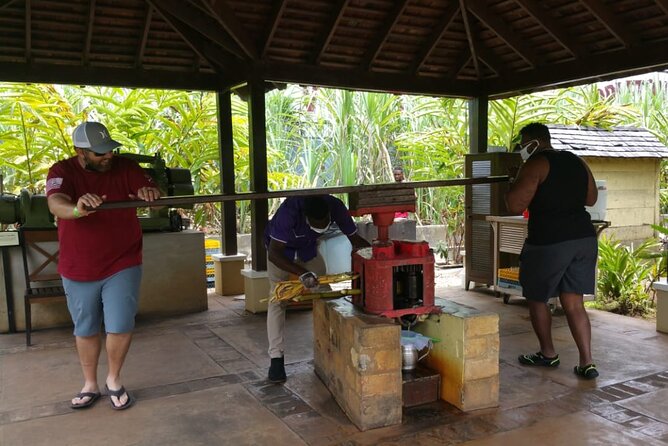 Appleton Estate Rum Tour and Pelican Bar Customize Tour - Timing, Comfort, and the 8 Hour Reality