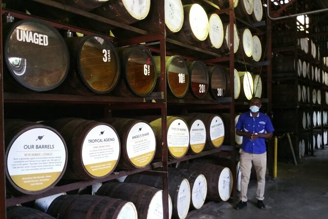 Appleton Estate Rum Tour and Pelican Bar Customize Tour - What the $120 Includes, and Where Your Money Goes Next