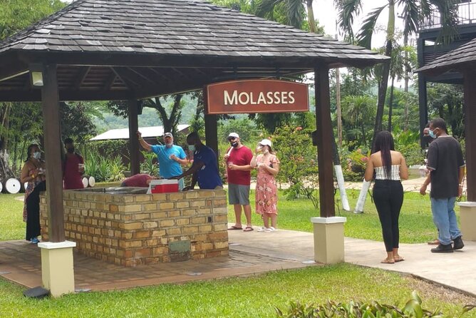 Appleton Estate Rum Tour and Pelican Bar Customize Tour - Fitness Level and Practical Expectations