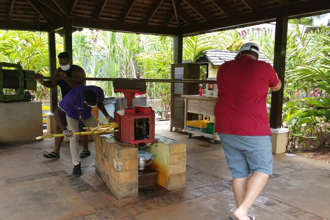 Appleton Estate Rum Tour and Pelican Bar Customize Tour - Bamboo Archway and Three Parishes: The Scenery Stop That Sets the Tone
