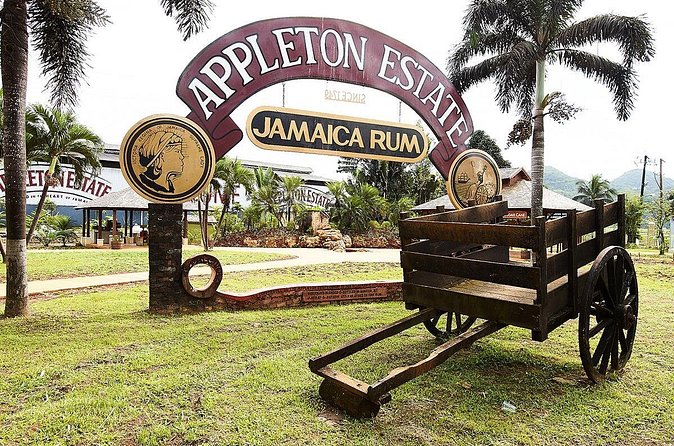 Appleton Estate Rum Tour and Tasting from Negril - Rum tasting with cane juice: how to make the samples count