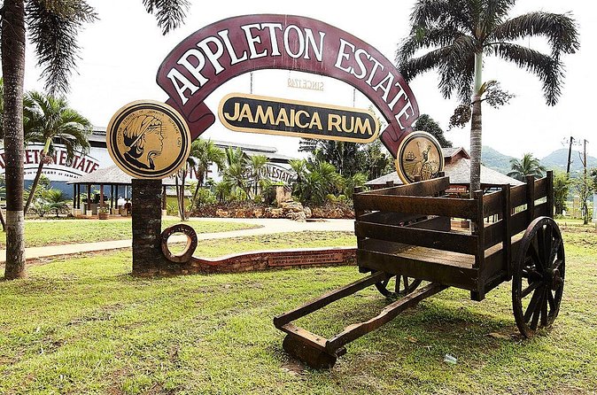 Appleton Estate Rum Tour and Tasting from Ocho Rios - Rum Tasting Included: How to Enjoy Without Rushing