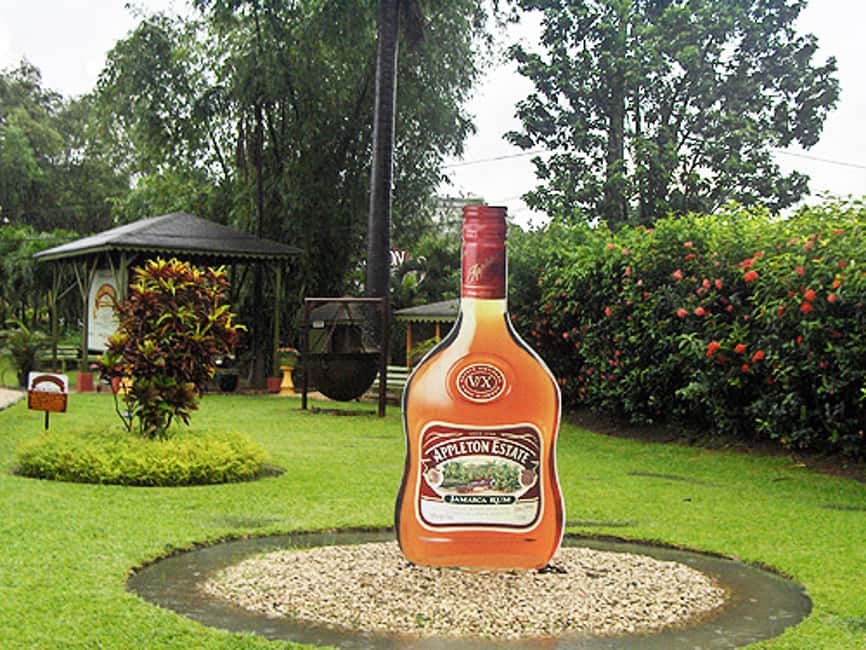 Appleton Estate Rum Tour: Full Day from Montego Bay - Montego Bay to the sugar cane belt: pickup, ride time, and what to expect on the road