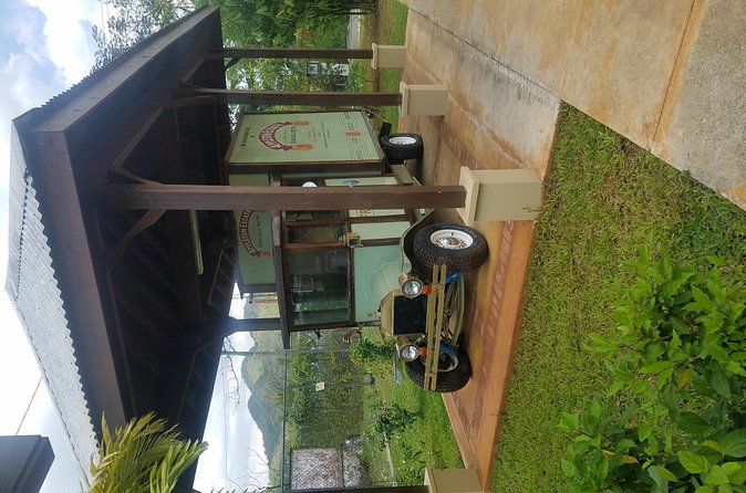 Appleton Estate Rum Tour [Transportation services] - Sugarcane juice, molasses, and rum tastings you can compare