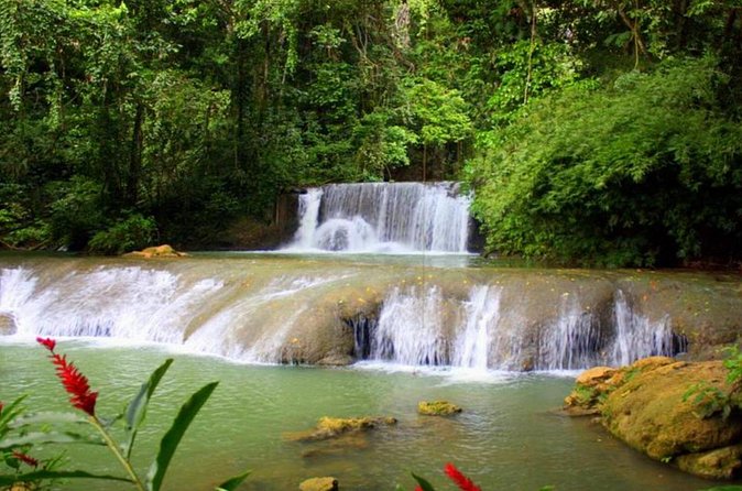 Appleton Estate, Ys Falls and Black River Safari Private Tour - Black River Safari with guided wildlife spotting and local context