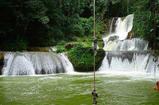 Appleton Estate, Ys Falls and Black River Safari Private Tour - How air-conditioned comfort and a private car change your day