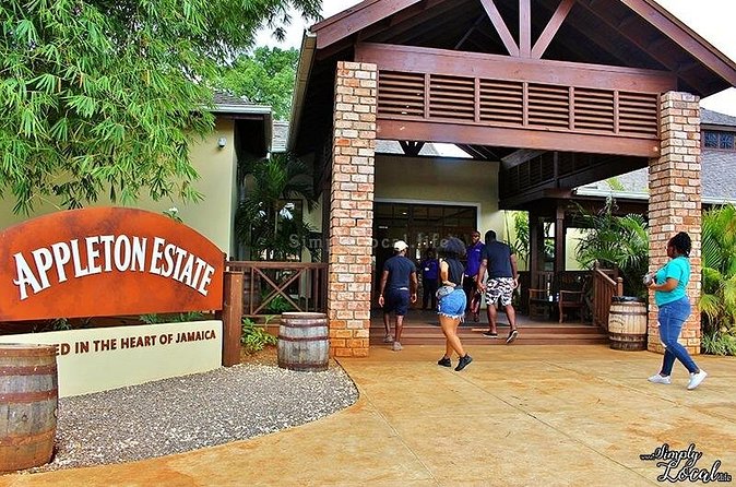 Appleton Estate, Ys Falls and Black River Safari Private Tour - Price and value: what $242.06 per person buys you