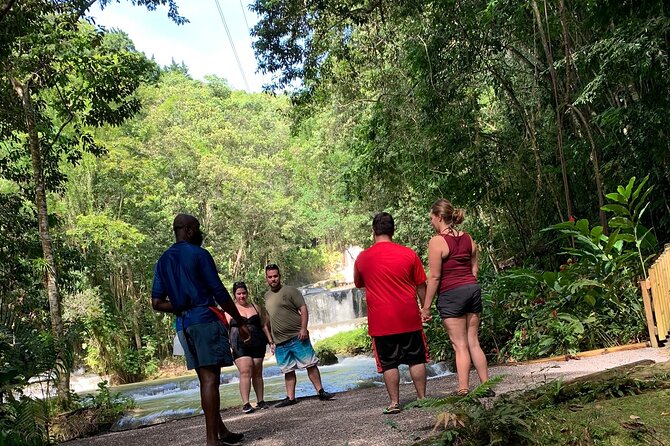 Appleton estate,YS Falls,Black River Safari,Pelican Bar(any 3of4) - Floyd’s Pelican Bar: your sunset anchor point