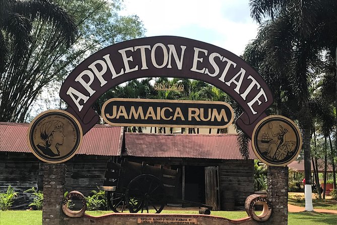 Appleton Rum Factory, YS Falls, and Reggae Horseback Ride & Swim Combo Tour - Key Points That Matter Before You Go