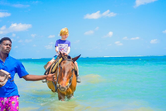 Aqua Fun Tours Dunns Falls, River Tubing and Horse Back - Dunns River Falls: a real 600-foot hike up moving water