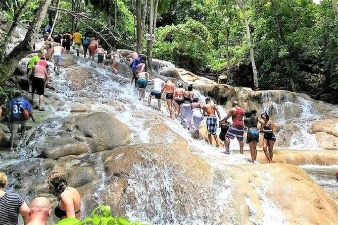 Aqua Fun Tours Dunns Falls, River Tubing and Horse Back - Who this tour is best for