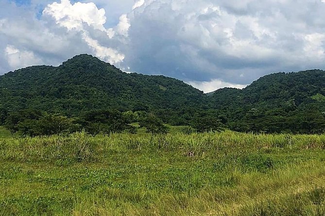 ATV Experience, cultural and social tour - Rastafari lifestyle discussion, plus a look at a ganja field