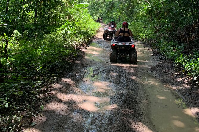 ATV Jungle Safari Tour from Montego Bay - Rainforest trails, animals, and riverside moments that cool you down