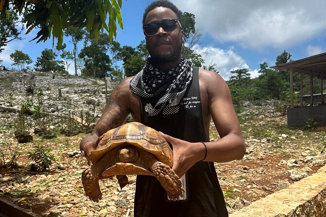 ATV Tour from Montego Bay with private transportation - Pickup, private transport, and the real timing of the day