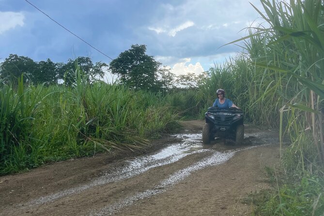 ATV, Zipline, Horseback, Bamboo Rafting and Rick’s Cafe - Zipline Through the Trees: Turning Fear Into Fun