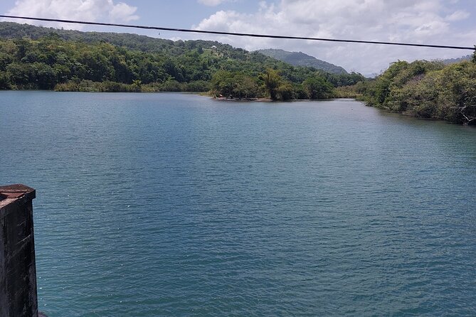 Bamboo Rafting and Boston Jerk Centre Tour in Portland Jamaica - Private transport, WiFi, AC, and a smooth 9:00 am start