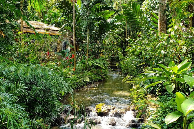 Bamboo rafting and Horseback ridding - White River bamboo rafting in Ocho Rios