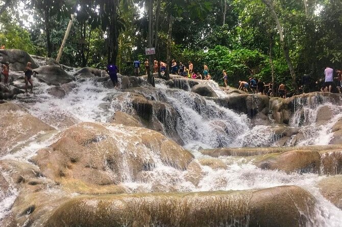 Bamboo Rafting, Dunn's River Falls and Horseback Riding Private Tour - Dunn’s River Falls: Pools to Cool Off, and the Climb If You Want It