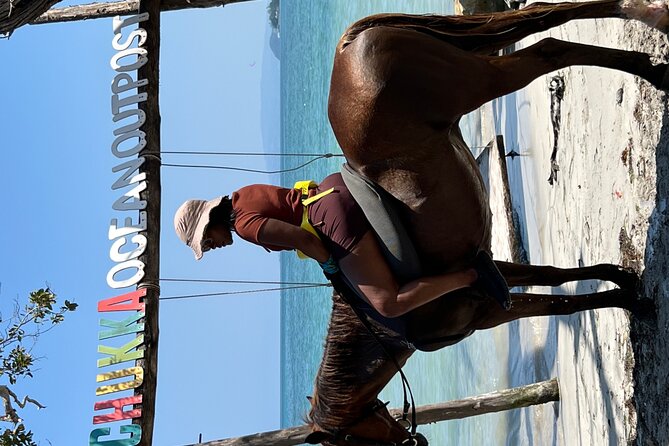 Bamboo Rafting & Horseback -dunns river Transportation Included - Transportation Included: What You Gain With an Air-Conditioned Vehicle