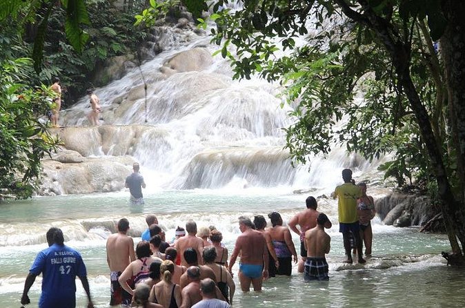Beach Horseback Riding and Dunn’s River Falls - Guides, tipping, and photo-video reality checks