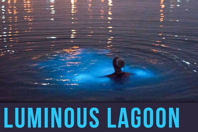 Bioluminescence Lagoon Tour from Montego Bay with Pick Up - Stop for a dip at Glistening Waters, the moment most people remember