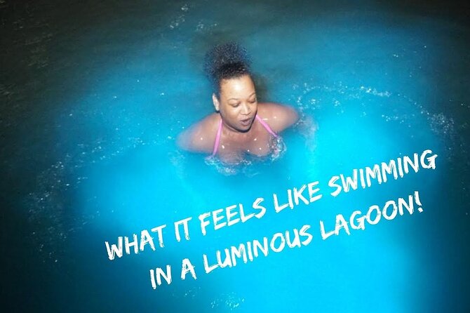 Bioluminescence Lagoon Tour from Montego Bay with Pick Up - How much it costs and whether it is good value at $105