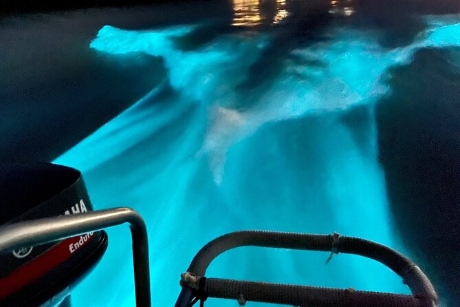 Bioluminescence Lagoon Tour from Montego Bay with Pick Up - Timing, weather, and the moon, your real success checklist