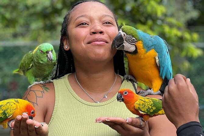 Bird Sanctuary and animal farm Day Tour - Rockland Bird Sanctuary in Anchovy: close, guided, and easy to enjoy