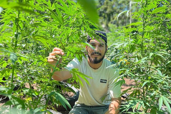 Bird Sanctuary and animal farm Day Tour - Hand-feeding hummingbirds and spotting birds by name
